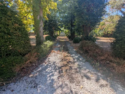 L'allée d'arbres vers le portail