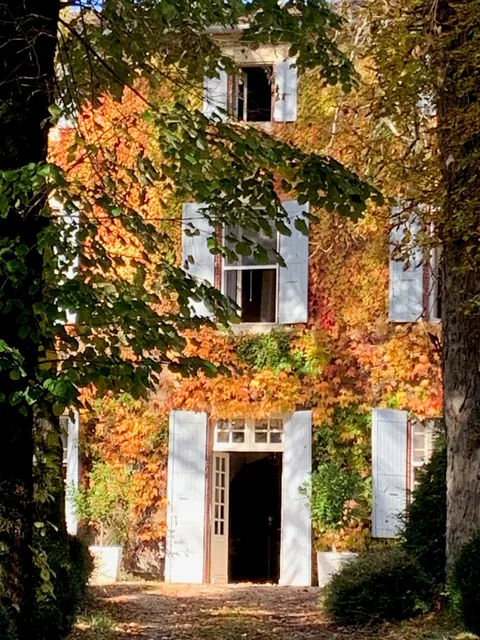 Façade couverte de vigne vierge rousse