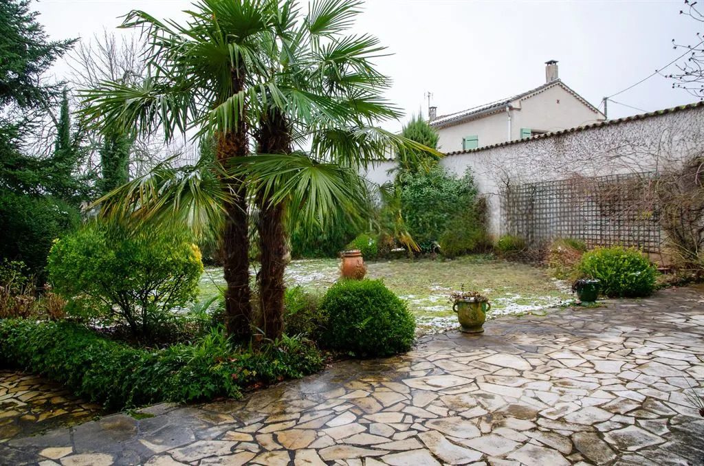 La terrasse dallée à l'arrière de la maison, palmier et buis taillés