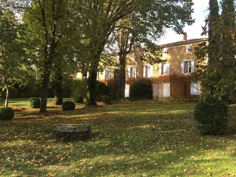 Les arbres du parc