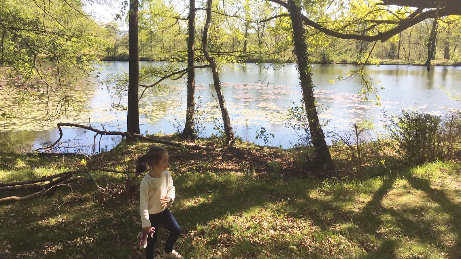 Vue panoramique du lac de La Planésié dans le Tarn